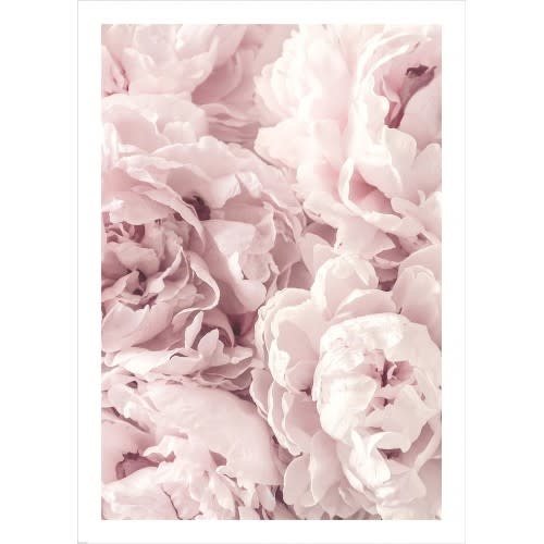 Incado Plakat 50x70 Wandkunst Peony