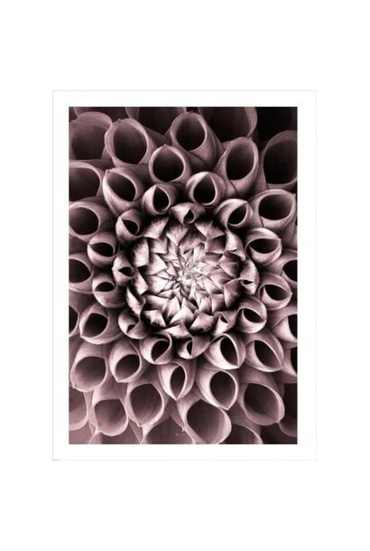 Poster 50x70 Wall Art Just Open
