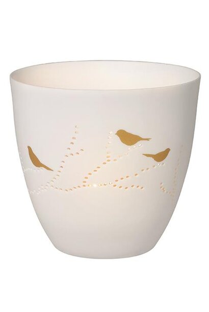 Poetry Light Birds