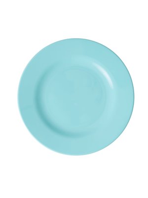 Rice Melamine lunch plate Disco Ball - mint