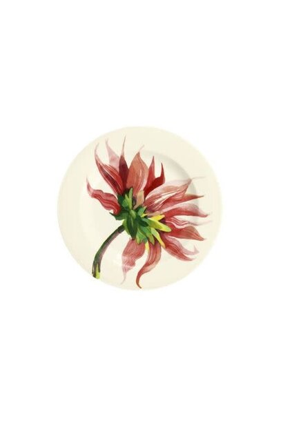 6.5 Plate Dahlia