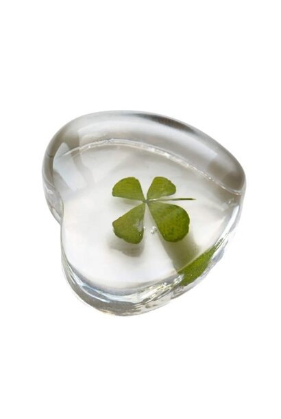 Four leaf clover in glass heart