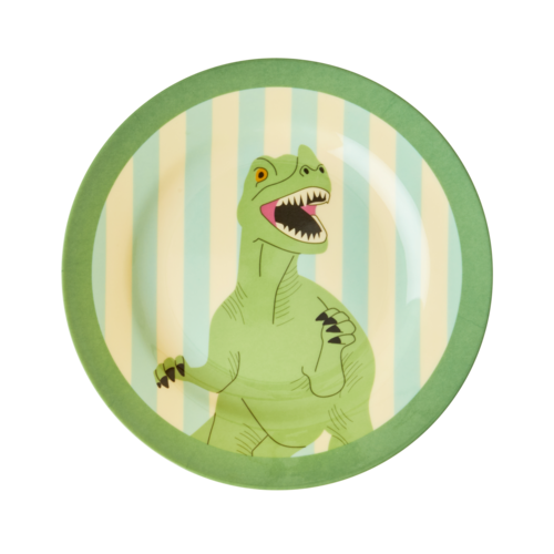 Rice Melamine Kids Lunch Plate with Dino Print