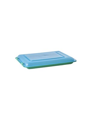 Rice Food Keeper green with  blue lid