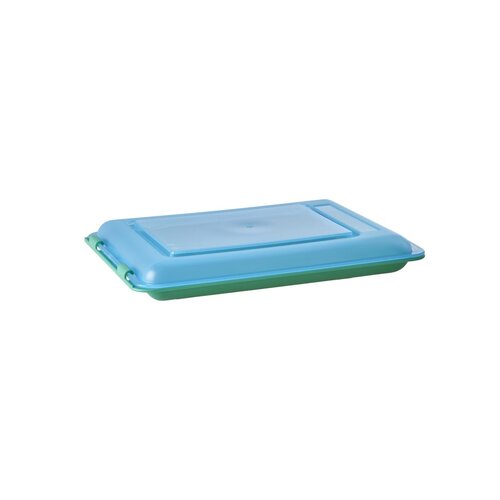 Rice Food Keeper green with  blue lid