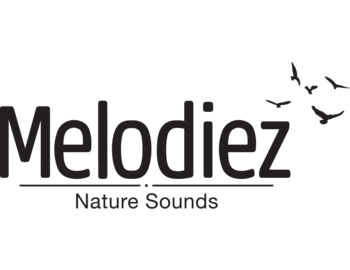 Melodiez
