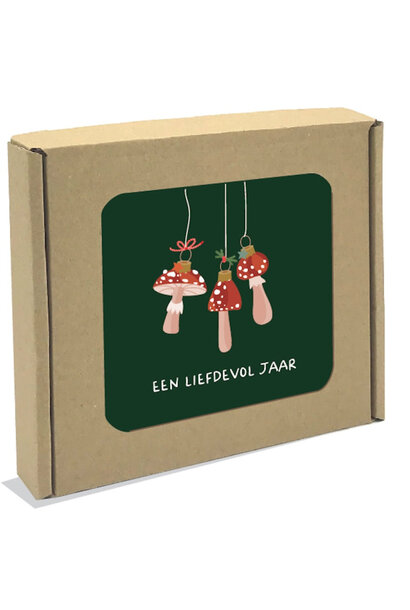 Xmas Leuke Wensen kaarten Mushroom box/8
