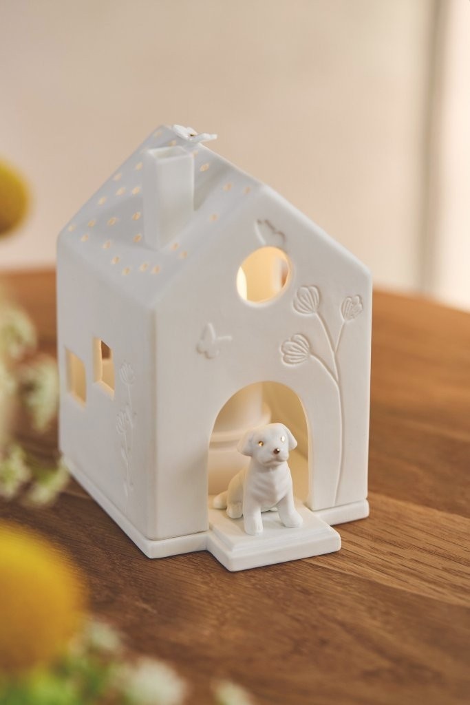 Light house Dog-4