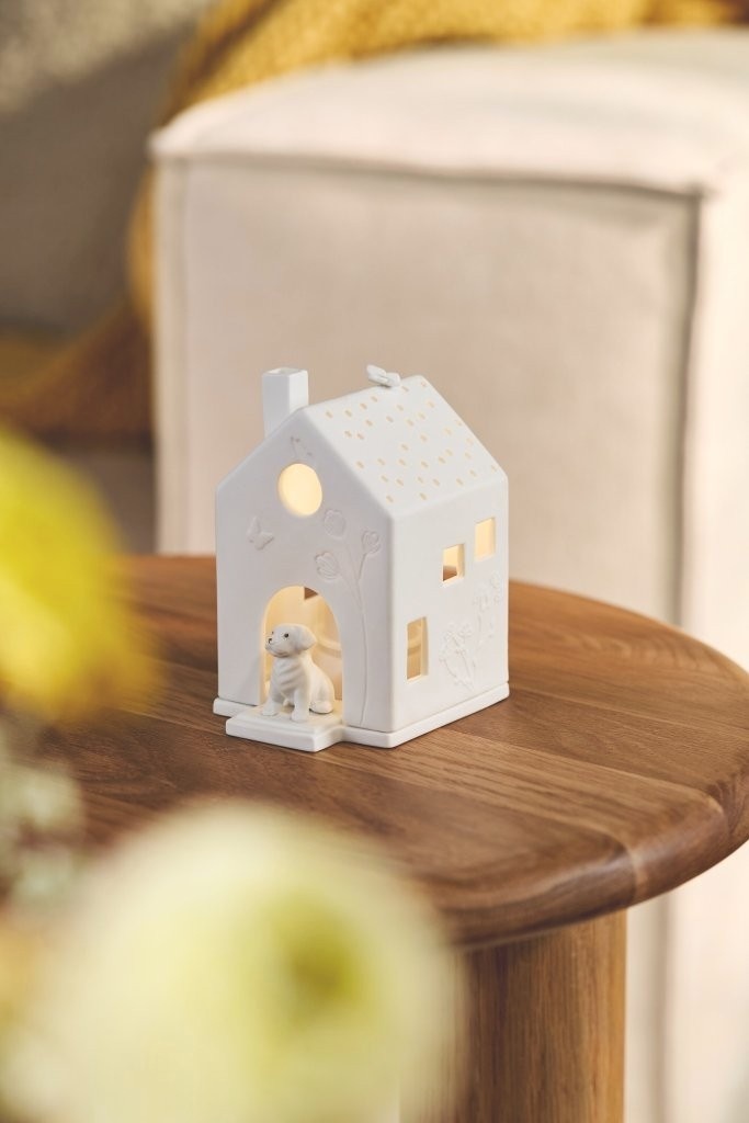 Light house Dog-5