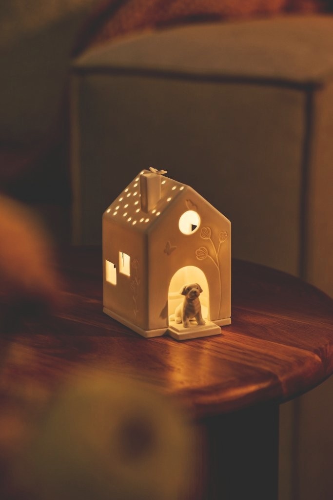 Light house Dog-7