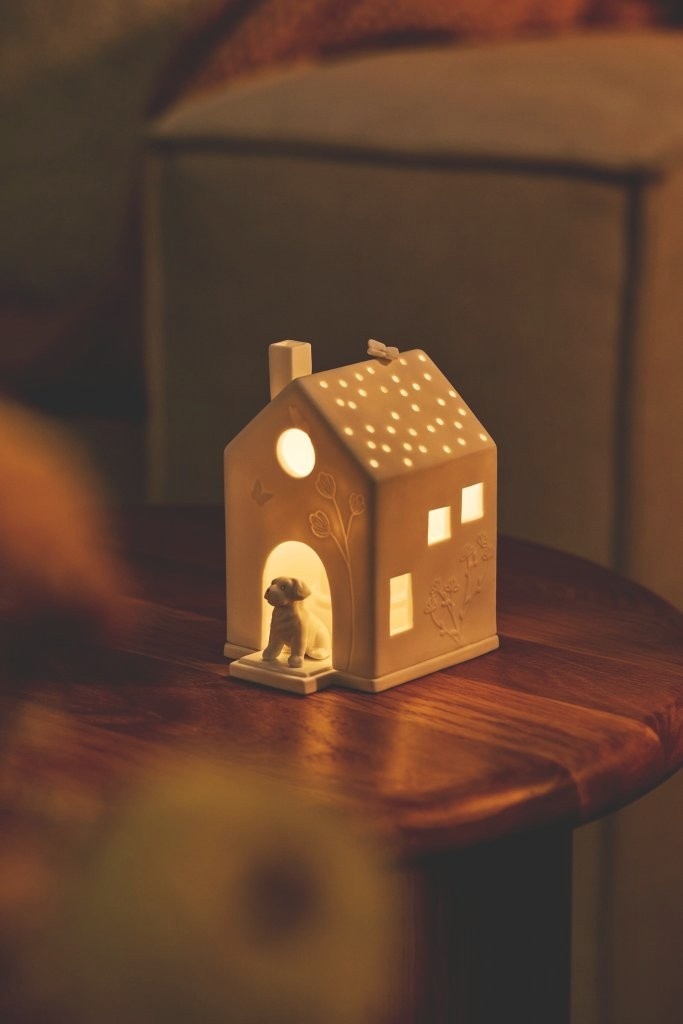 Light house Dog-8