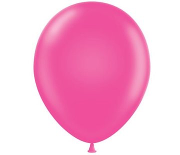 Joni's Winkel Ballonnen pink 10 stuks 25 cm