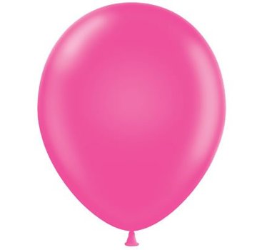 Joni's Winkel Ballonnen pink 10 stuks 25 cm