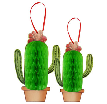 Joni's Winkel Honeycomb Cactus 2 stuks