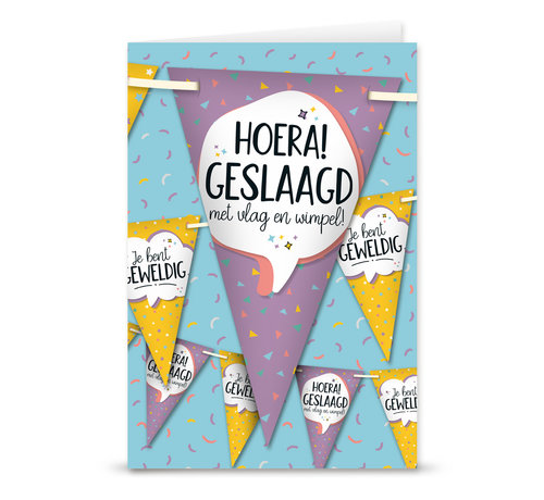 Miko Feestvlaggen "Geslaagd"