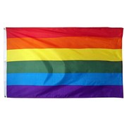 PartyXplosion Gevelvlag Regenboog 150x90 cm