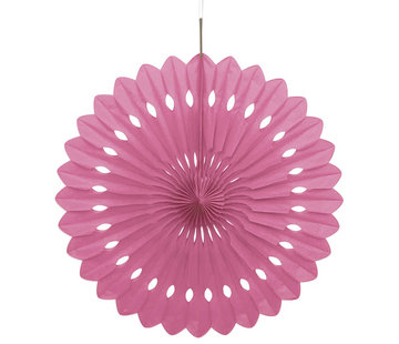 Joni's Winkel Honeycomb waaier Wit/Roze 63 cm