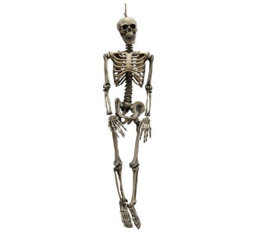 Skeletjes assorti kleuren 25 cm