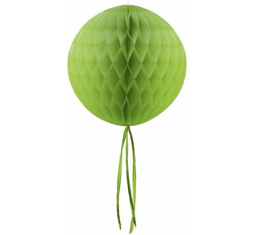 Folat Honeycomb Decoratie bol Licht groen 30 cm met onderhanger