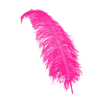Joni's Winkel Pieten veer roze 25 cm