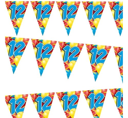 Miko Vlaggenlijn Ballonnen 12 jaar 6 meter