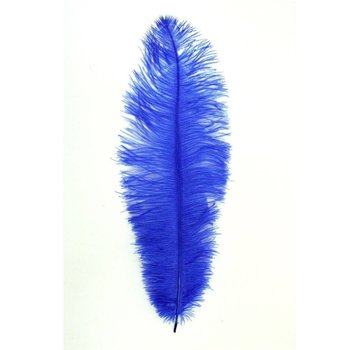 Joni's Winkel Floss veer / Pieten veer blauw 25 cm