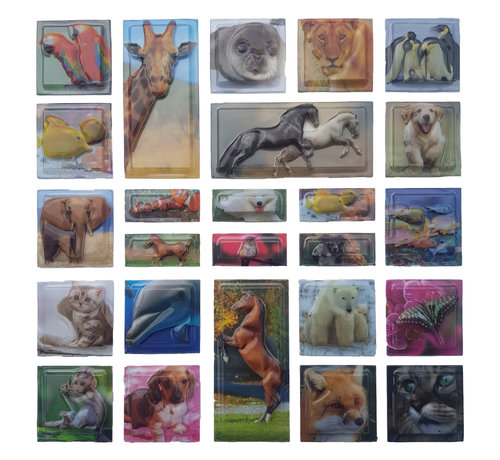 3D stickervel "Dieren" +/- 25 stuks