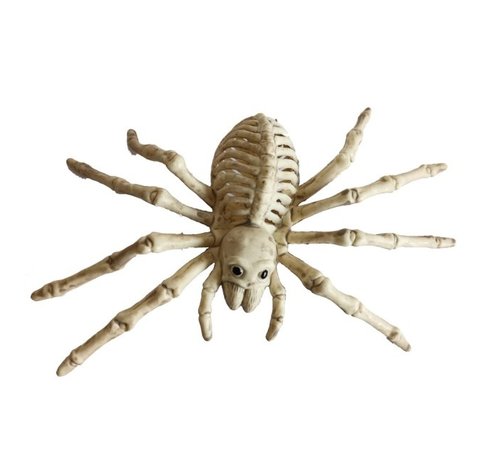 Joni's Halloween Shop Spin skelet van plastic 23 cm