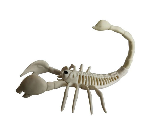 Joni's Halloween Shop Schorpioen skelet van plastic 32 cm
