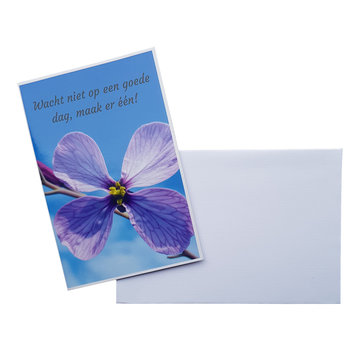 CottonCounts Luxe Kaart met envelop "Wacht niet" 10x15 cm