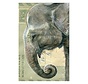 Luxe Kaart met envelop "Olifant" 11,5x17,5cm