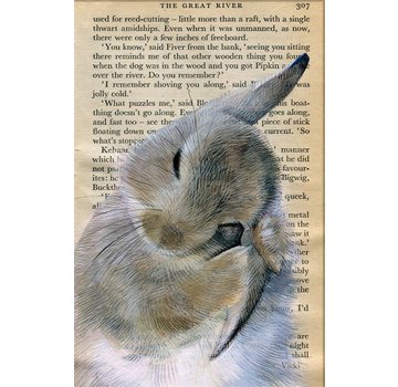 Meander Luxe Kaart met envelop "Konijn wast oor" 11,5x17,5cm