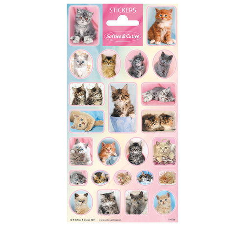 Stickervel Dieren Softies & Cuties "Kittens"