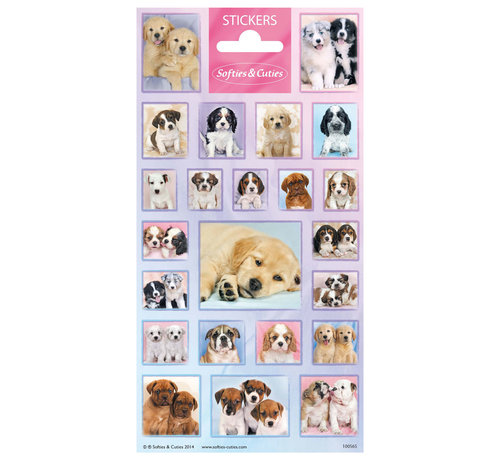 Stickervel Dieren Softies & Cuties "Puppies"