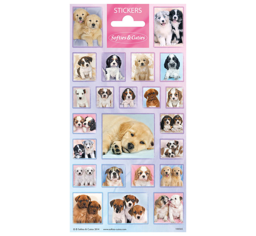 Stickervel Dieren Softies & Cuties "Puppies"