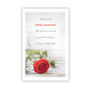 PC Condoleance kaart "Liggende rode roos"