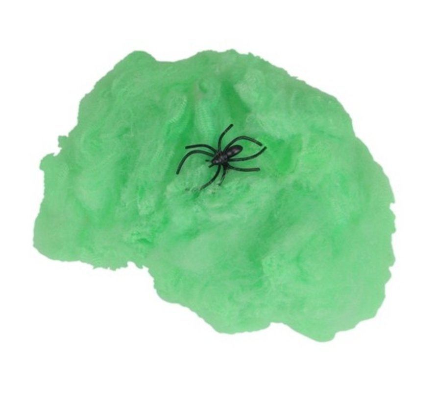 Groen spinneweb incl. spin 50 gr.