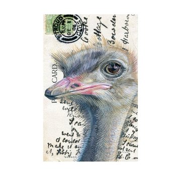 Meander Luxe Kaart met envelop "Struisvogel" 11,5x17,5cm