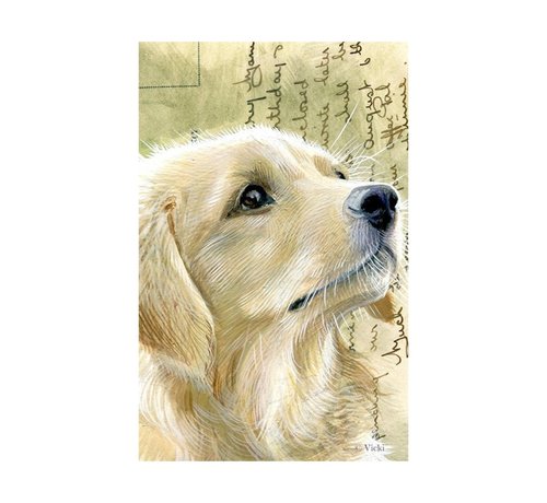 Meander Luxe Kaart met envelop "Hond - Golden Retriever" 11,5x17,5cm