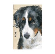 Meander Luxe Kaart met envelop "Hond - Berner Sennen" 11,5x17,5cm