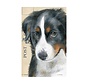 Luxe Kaart met envelop "Hond - Berner Sennen" 11,5x17,5cm