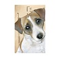 Luxe Kaart met envelop "Hond - Jack Russel" 11,5x17,5cm