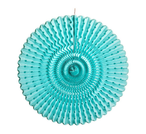 Joni's Winkel Honeycomb waaier Licht Blauw 50 cm