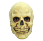 Masker Skull 2 voor volwassenen + Fake bloed