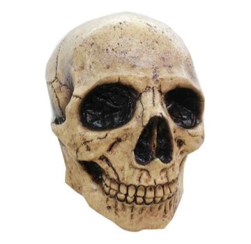 Ghoulish productions Masker Skull Tan 3 voor volwassenen + Fake bloed