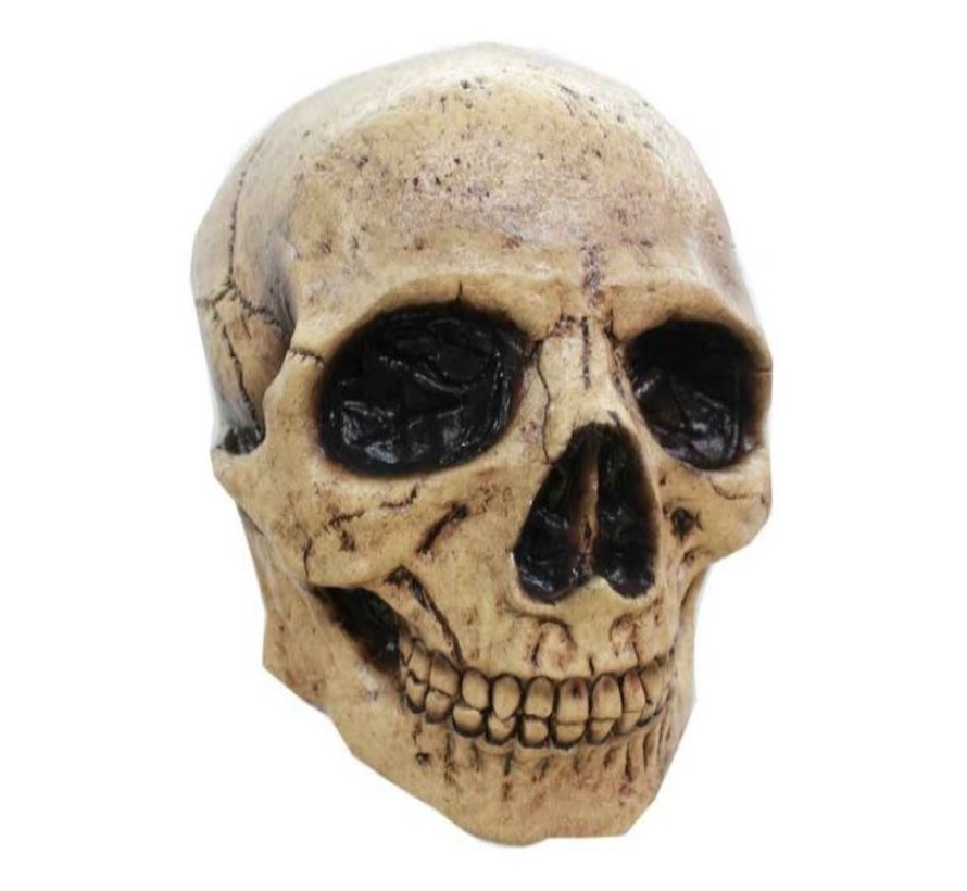 Masker Skull Tan 3 voor volwassenen + Fake bloed