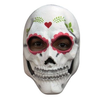 Ghoulish productions Masker Catrina voor volwassenen + Fake bloed