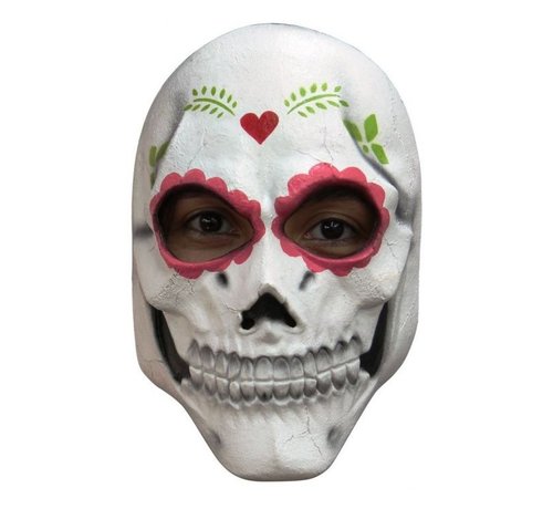 Ghoulish productions Masker Catrina voor volwassenen + Fake bloed