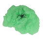 Groen spinneweb incl. spin 20 gr.