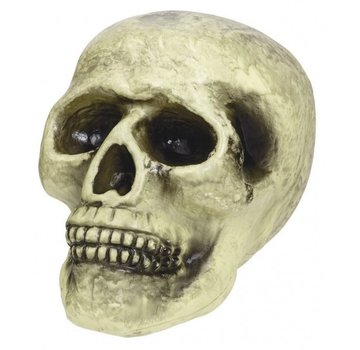 Amscan Foam Schedel 15.2 x 18.5 x 12.7 cm